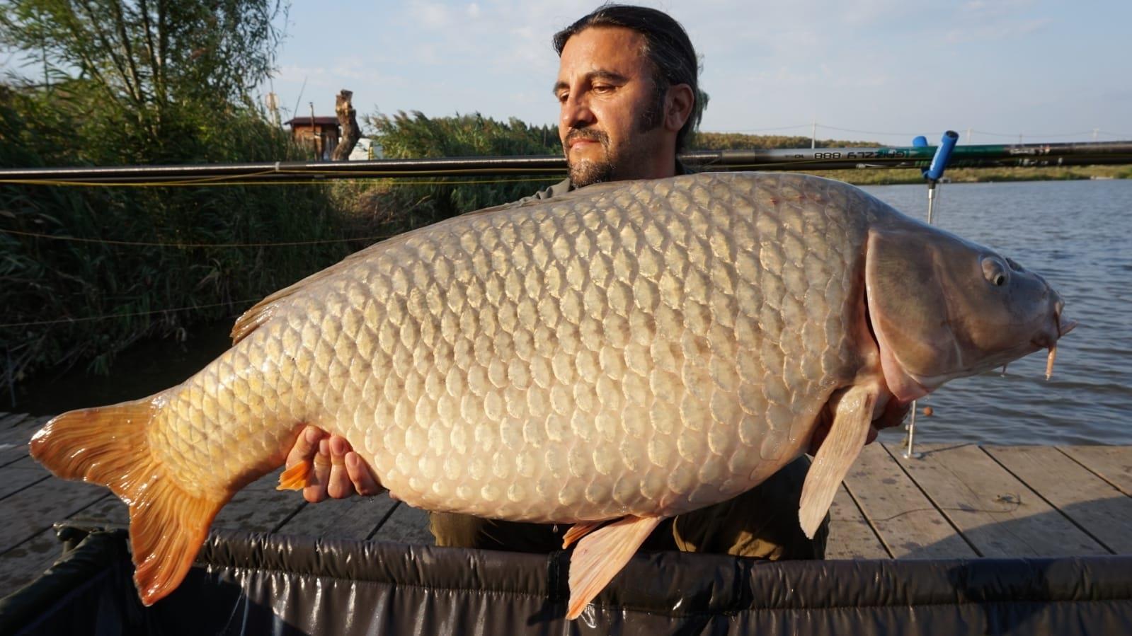 Crap de 21,4 kilograme prins la undita. Cum a fost posibil?